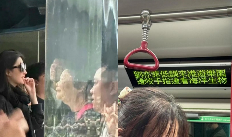 刘亦菲现身香港海洋公园，1个举动意外登上香港地铁标语