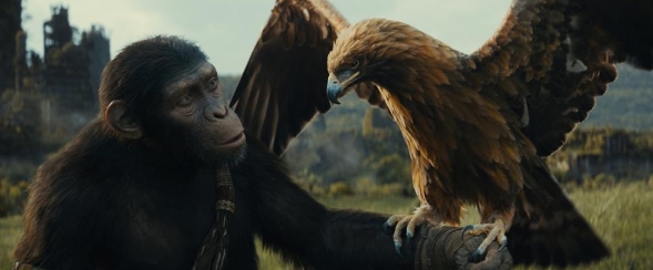 《猩球崛起：王国诞生》导演揭秘：电影用最多特效的是将演员变成猿人(图1)